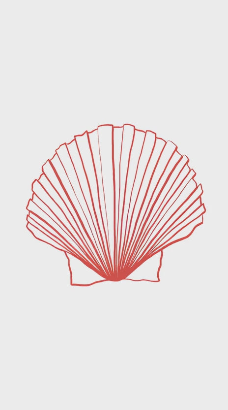 Charger la vidéo : 